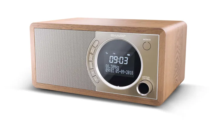 2x-radio-sharp-dr-450-brazowy-waga-z-opakowaniem-1-88-kg