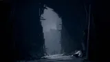2x-gra-ps5-plaion-reanimal-platforma-ps5