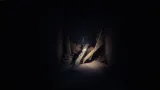 2x-gra-ps5-plaion-reanimal-wykorzystuje-kontroler-ruchu-nie
