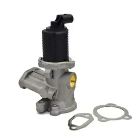 2x-zawor-egr-magneti-marelli-571822112003