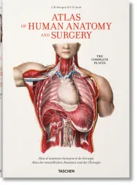 bourgery-atlas-of-human-anatomy-and-surgery-wer-angielska