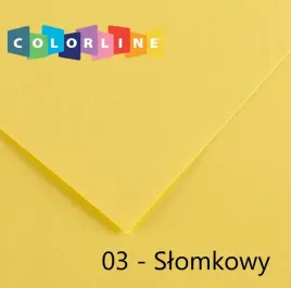 blok-karton-colorline-canson-50x65-cm-150-g-m-slomkowy-nr-03-10-arkuszy