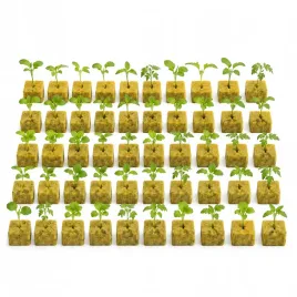 taca-do-wysiewu-nasion-kostki-25x25x25mm-do-rozsady-welna-skalna-50-sztuk