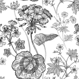 tapeta-czarno-biale-pelargonie-flizelina-53x1000