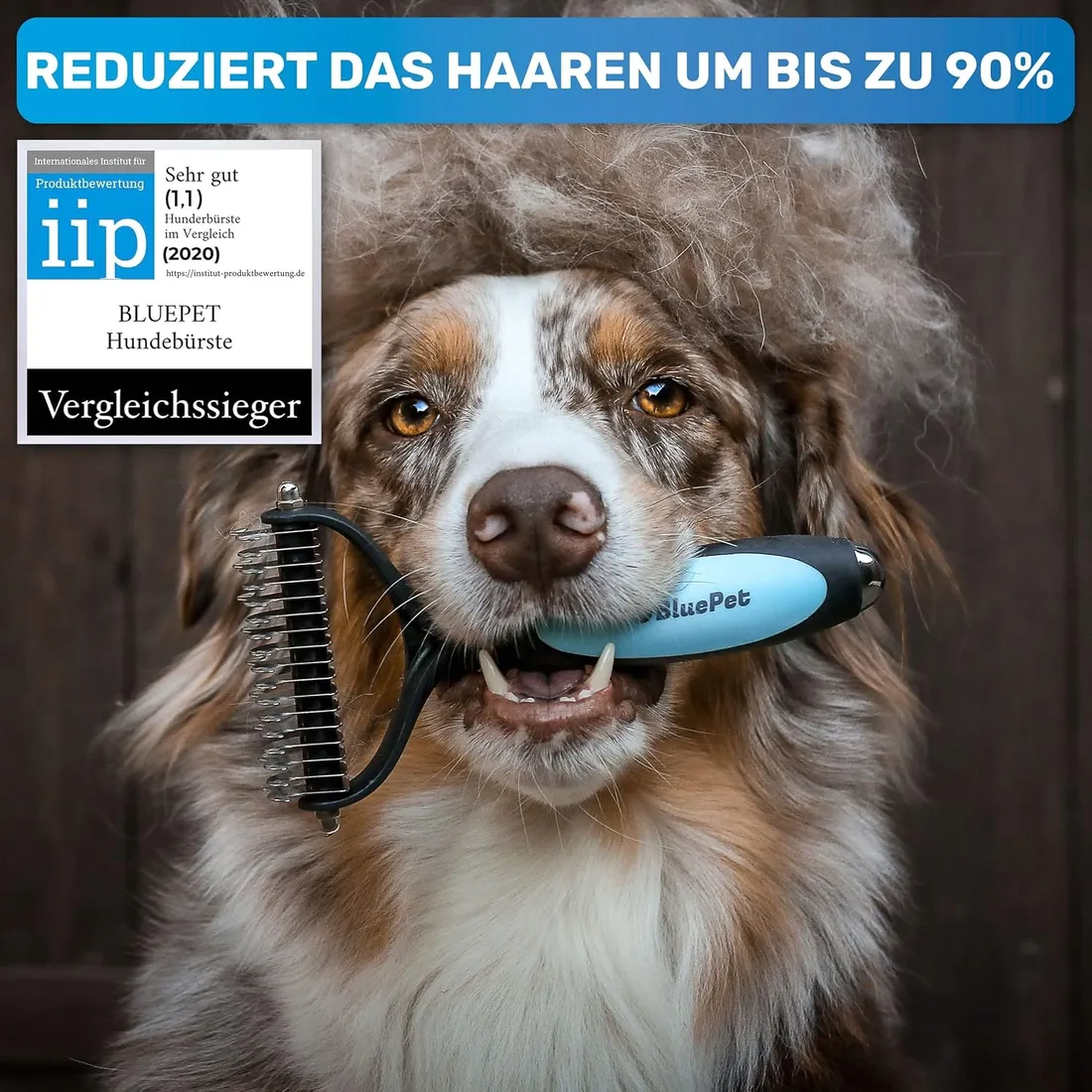 dla-kota-dla-psa-bluepet-rodzaj-inny