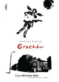 powiesc-audio-cd-mp3-grochow-andrzej-stasiuk-czyta-miroslaw-baka-tytul-grochow