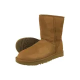 classic-short-ii-chestnut-kod-producenta-1016223che