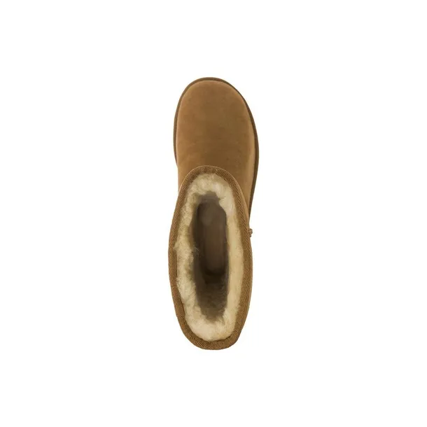 classic-short-ii-chestnut-marka-ugg