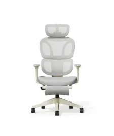 krzeslo-ergonomiczne-biurowe-flexispot-bs5-poduszka-chmura-podnozek-szare