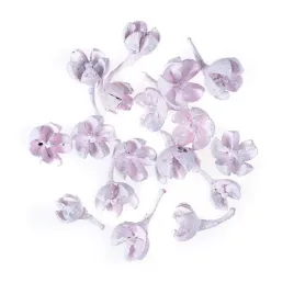 suszone-owoce-rozowe-10g