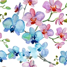 tapeta-do-salonu-orchidea-kwiaty-natura-storczyki-flizelina-53x1000