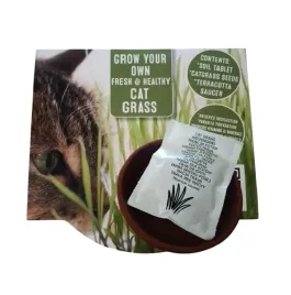trawa-dla-kota-cat-grass-nasiona-mini-doniczka-terakota-bioziemia-15-g
