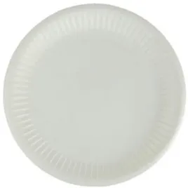 talerz-papierowy-100szt-18cm-or-06-047-01810