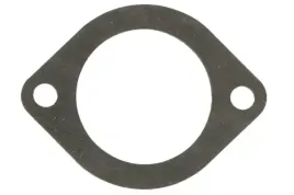 uszczelka-termostatu-plynu-chlodzacego-pasuje-do-new-holland-ford-230