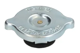 korek-chlodnicy-pasuje-do-massey-ferguson-1004-1004-t-230-230-uk-235