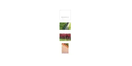prosperplast-obrzeze-ogrodowe-10m-garden-line-braz