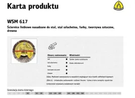 klingspor-sciernica-listkowa-nasadzana-125mm-wsm615-gr-240