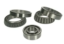 zestaw-naprawczy-mostu-lozyska-meritor-177e