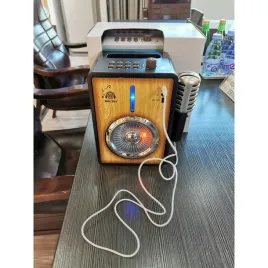 2x-wzmacniacz-funkcja-bluetooth-mikrofon-zabawka-muzyczna-dla-dzieci