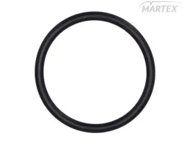 oring-pompy-wody-daf-lema-le106829