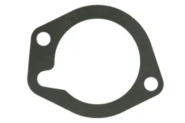 uszczelka-termostatu-plynu-chlodzacego-pasuje-do-landini-65-f-65-fp-65