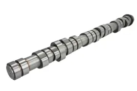 walek-rozrzadu-ent080000