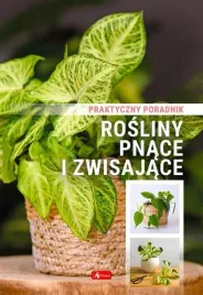 rosliny-pnace-i-zwisajace-poradnik-praktyczny-dragon