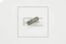 sworzen-piasty-bpw-6x195-pe-automotive-077-031-00a