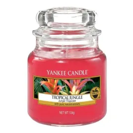 yankee-candle-small-jar-tropical-jungle-104g