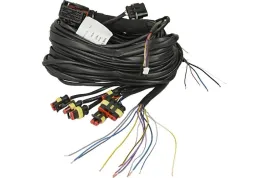 wiazka-europegas-sterownika-eg-48-4-injecto
