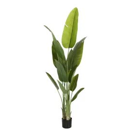 sztuczny-pielgrzan-madagaskarski-premium-w-doniczce-drzewko-roslina-200cm