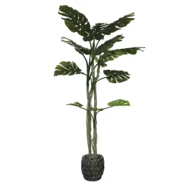 sztuczna-monstera-wielopienna-premium-drzewko-w-doniczce-duza-roslina-180cm