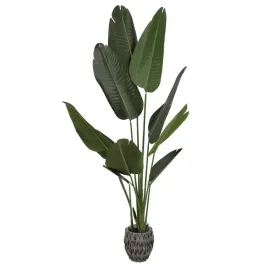 sztuczna-sterlicja-premium-drzewko-w-doniczce-roslina-dekoracyjna-160cm