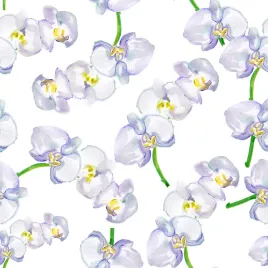 tapeta-do-salonu-orchidea-storczyk-kwiaty-natura-flizelina-53x1000