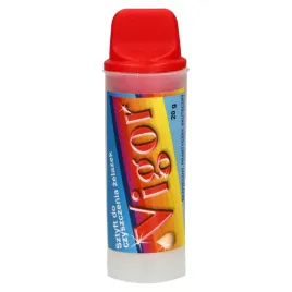vigor-sztyfy-do-czyszczenia-zelazek