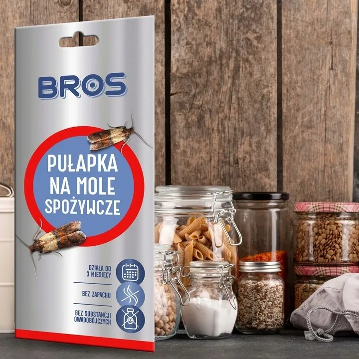 lep-przeciwko-molom-bros