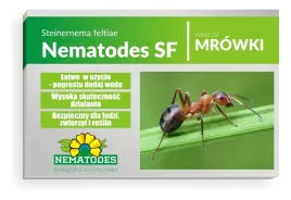 nematodes-sf-50mln-nicienie-na-mrowki-100-mrowisk-gniazda-robotnice-krolowa