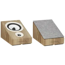 2x-glosniki-moduly-dolby-atmos-3d-triangle-borea-bra1