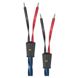 2x-kable-glosnikowe-konfekcja-wtyki-bananowe-wireworld-oasis-10-oas-2-x-25