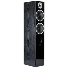 2x-wilson-raptor-7-kolumny-glosnikowe-podlogowe-hi-fi