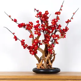 2x-dekoracyjne-bonsai-pokojowe-red-plum-pn-37