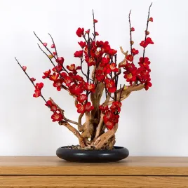 2x-dekoracyjne-bonsai-pokojowe-red-plum-pn-38