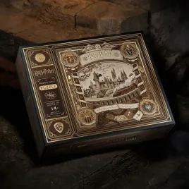 wielowymiarowa-ukladanka-harry-potter-1000-elementow-oficjalna-licencja