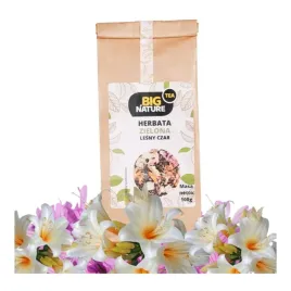 big-nature-herbata-zielona-lesny-czar-100g