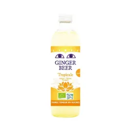 piwo-imbirowe-o-smaku-owocow-tropikalnych-bezalkoholowe-bio-vegan-750-ml