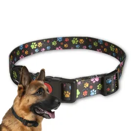 zandor-solidna-obroza-mocna-parciana-do-psa-regulowana-25mm-42-62cm-xl