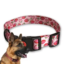 zandor-solidna-obroza-mocna-parciana-do-psa-regulowana-25mm-42-62cm-xl