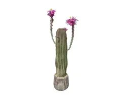 kaktus-sztuczna-roslina-80cm