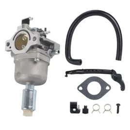 gaznik-briggs-and-stratton-795873-nikki-697203