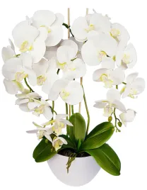 storczyk-sztuczny-gumowy-jak-zywy-bialy-kwiaty-orchidea-60cm-w-doniczce